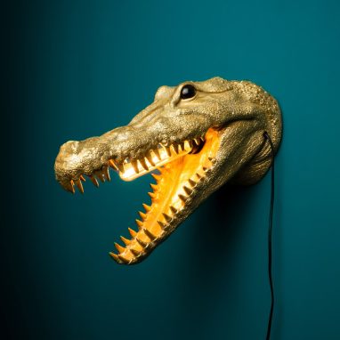 Crocodile fali lámpa